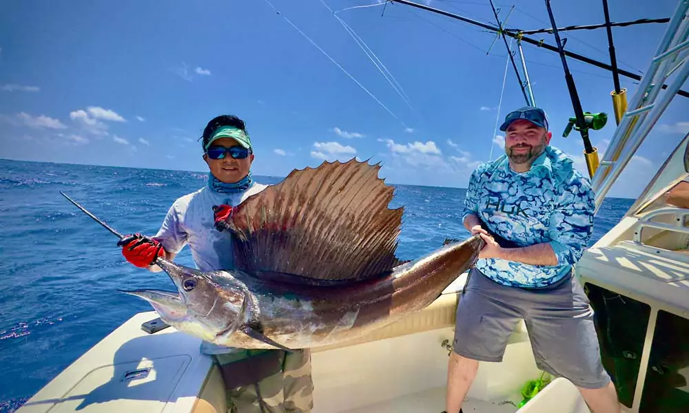 Sportfishing cancun-sailfish season cancun 